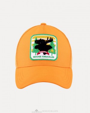 Moose Knuckles Canadiana Patch Cap Miesten Baseball caps Oranssi | 07BPOUKXD