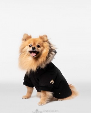 Moose Knuckles Pooch Parka Miesten Pet Mustat Kultaiset | 69XTRNFBK