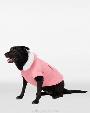 Moose Knuckles Pooch Parka Miesten Pet Valkoinen | 54OGWQDVF