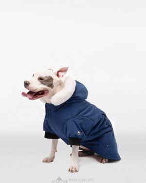 Moose Knuckles Pooch Parka Naisten Pet Sininen Valkoinen | 43VHLDNTG