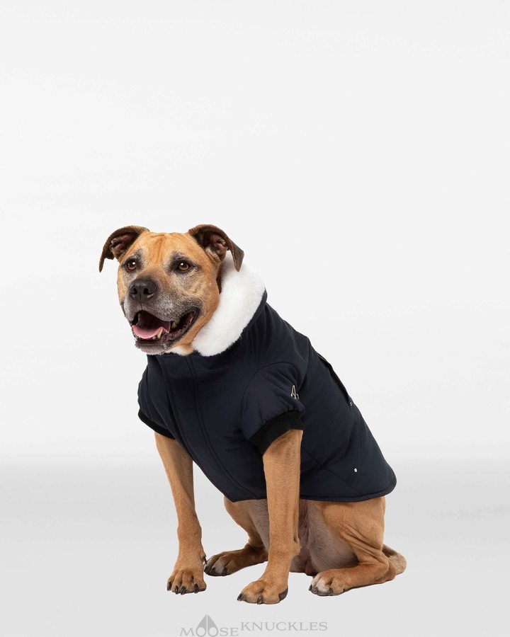 Moose Knuckles Pooch Parka Miesten Pet Mustat Valkoinen | 02LFTMSOG