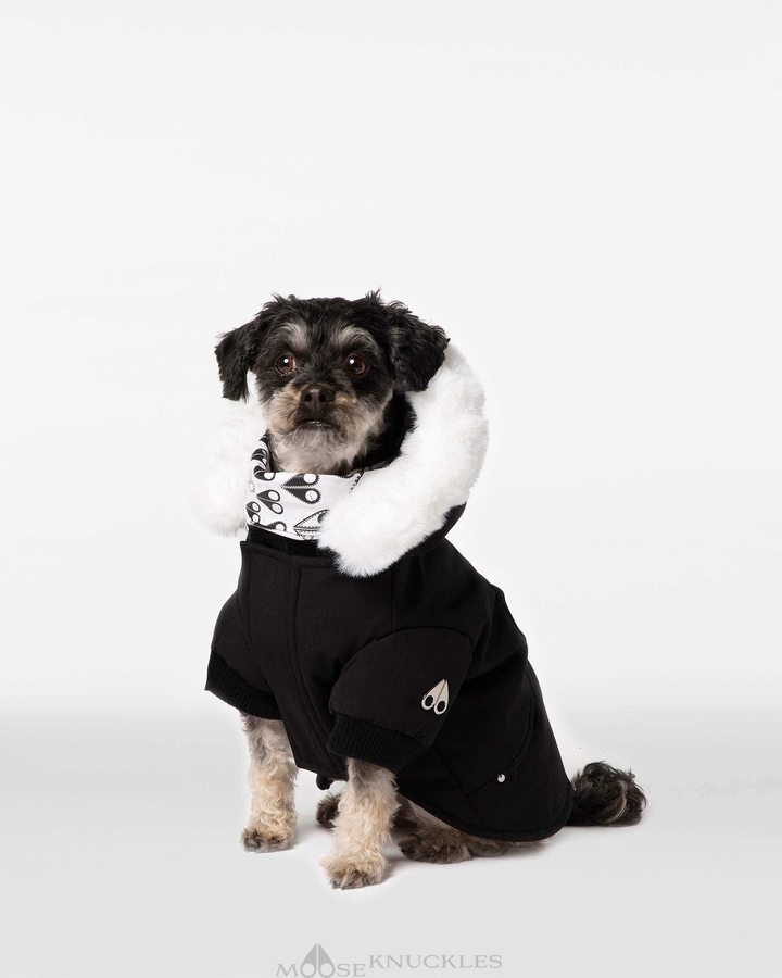 Moose Knuckles Pooch Parka Miesten Pet Mustat Valkoinen | 02LFTMSOG