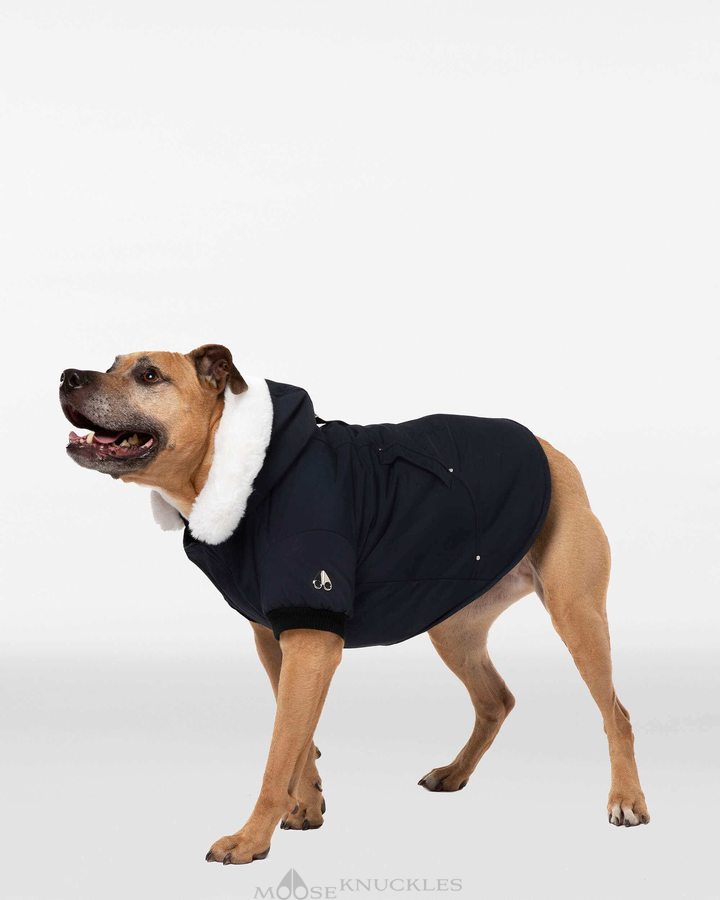 Moose Knuckles Pooch Parka Miesten Pet Mustat Valkoinen | 02LFTMSOG