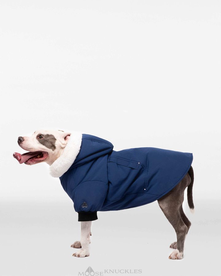 Moose Knuckles Pooch Parka Miesten Pet Sininen Valkoinen | 91YILTHDM