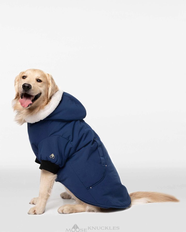 Moose Knuckles Pooch Parka Miesten Pet Sininen Valkoinen | 91YILTHDM