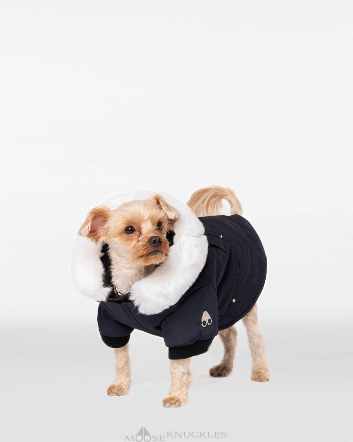 Moose Knuckles Pooch Parka Naisten Pet Laivastonsininen Valkoinen | 53RFDVZJY